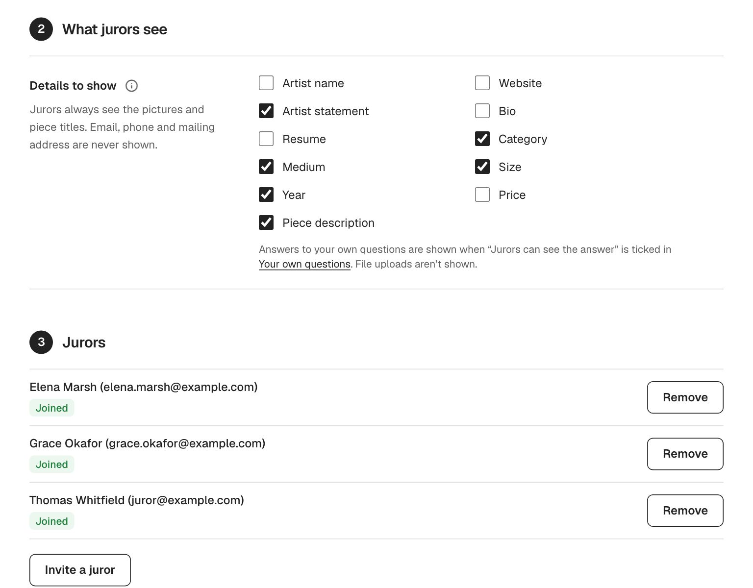 Settings for what jurors see, with artist name and contact details hidden.